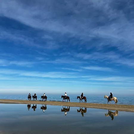 Dimora Del Borgo 公寓 *