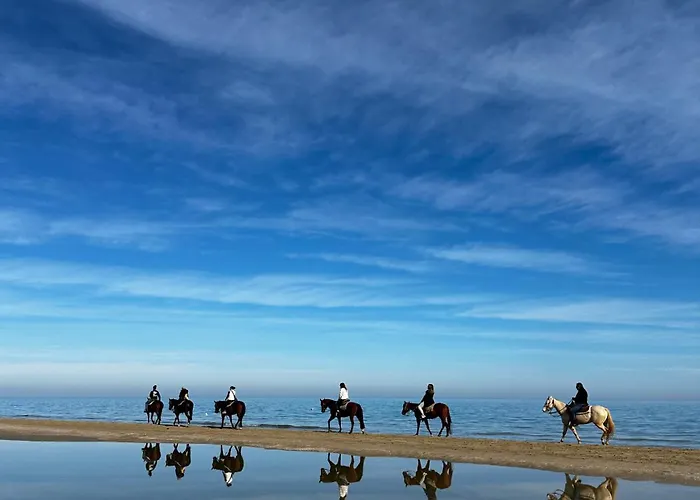 Dimora Del Borgo Apartment *